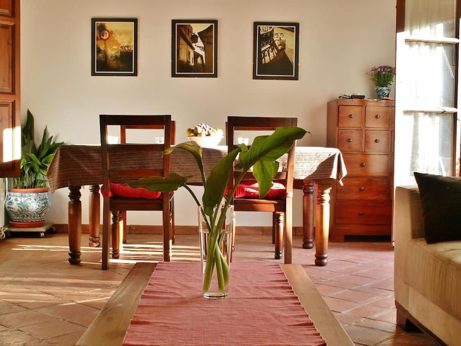 Apartamento Oasis גרנדה מראה חיצוני תמונה